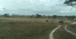 Land Plot Sale Mkuranga